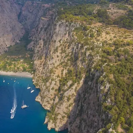 Kelebek Faralya Fethiye